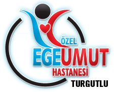 ege-umut