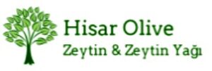 hisar